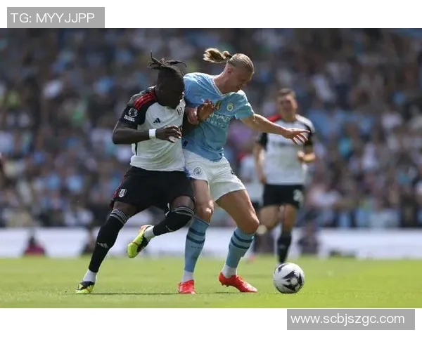 哈德斯vs富勒姆分析